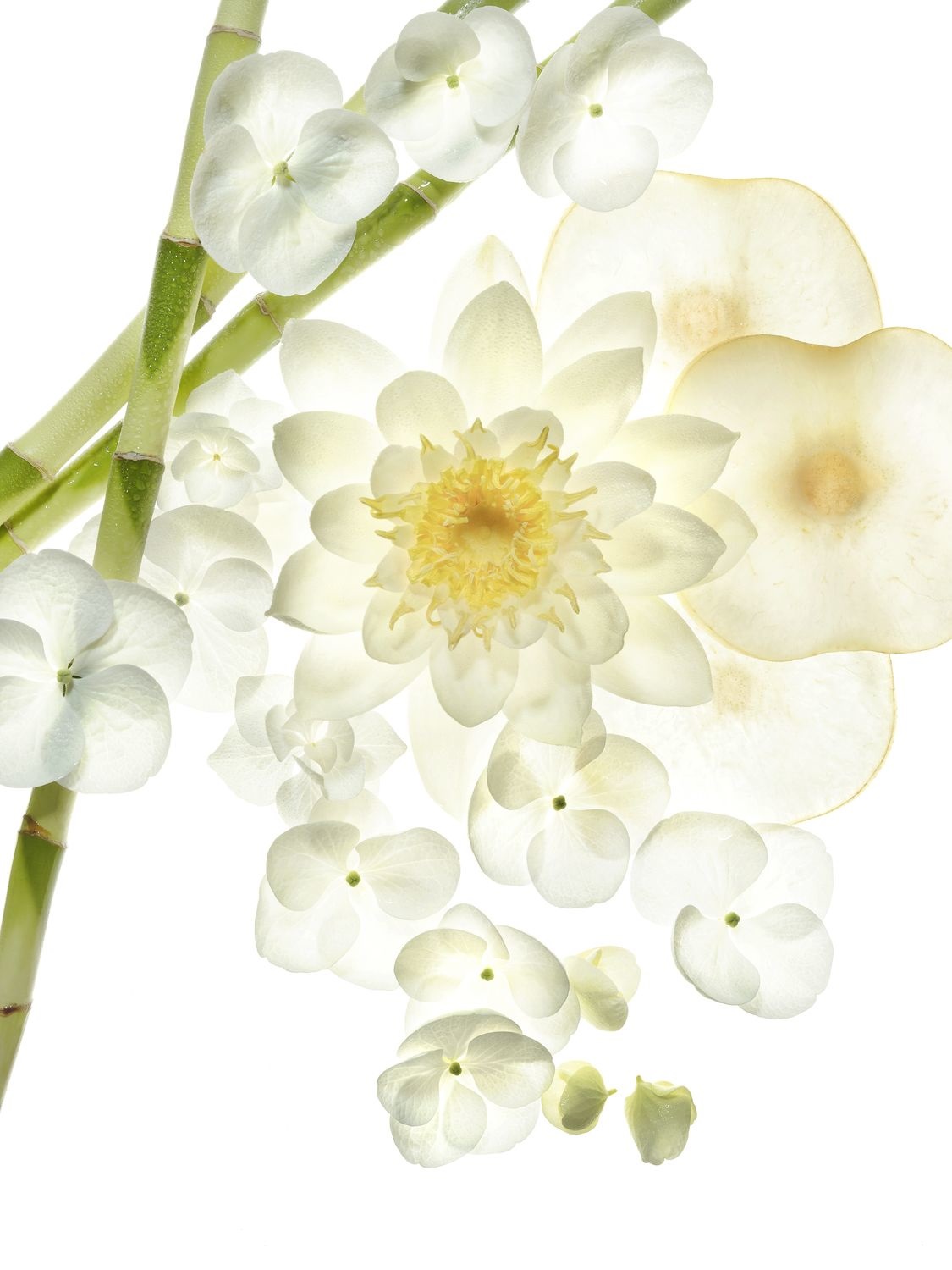 Bvlgari Omnia Crystalline Eau de Toilette Donna 40 ml - Fragranza Floreale