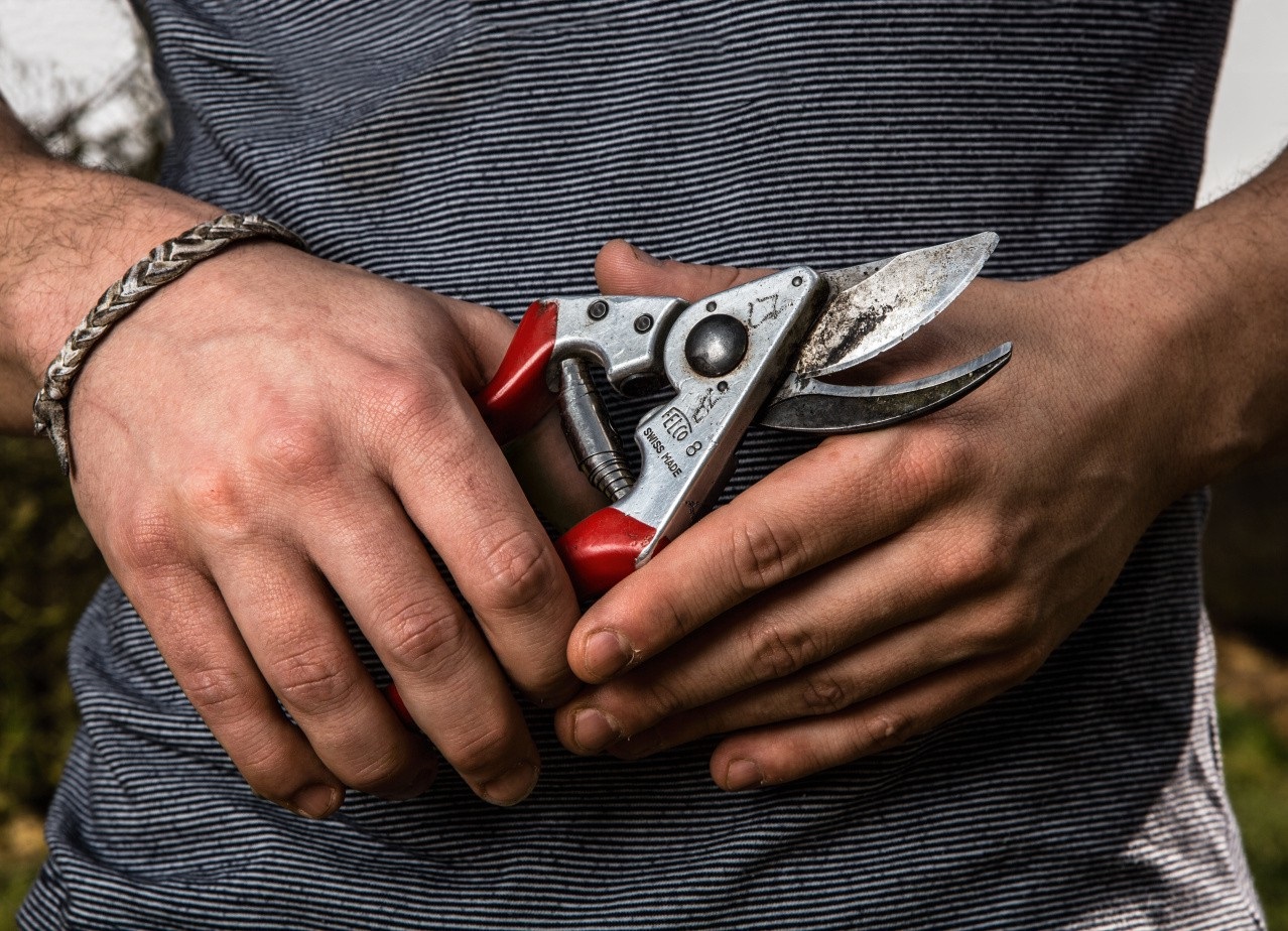 Felco 8 Forbice da Potatura Ergonomica in Alluminio Forgiato Rosso - Lama in Acciaio Temperato, Capacità di Taglio 25 mm