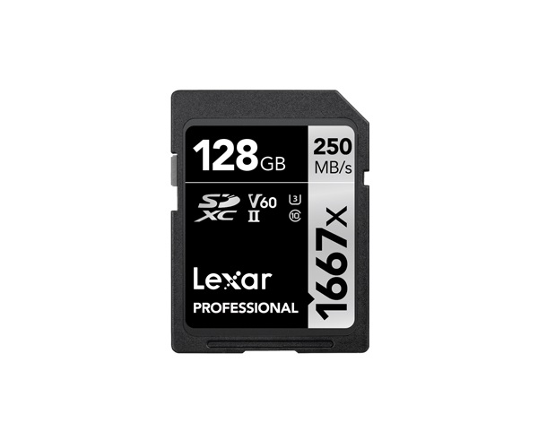 Lexar SDXC Professional 128GB UHS-II Classe 10, 250 MB/s, 1667x, Ideale per Fotografia RAW e Video 4K