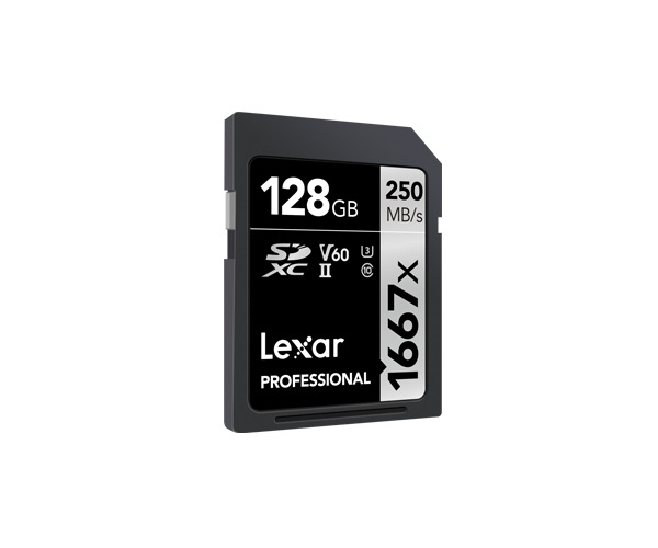 Lexar SDXC Professional 128GB UHS-II Classe 10, 250 MB/s, 1667x, Ideale per Fotografia RAW e Video 4K