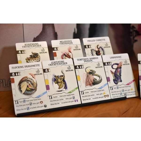 Stonemaier Games Wyrmspan - Gioco da Tavolo in Inglese sui Draghi, Durata 90 Min