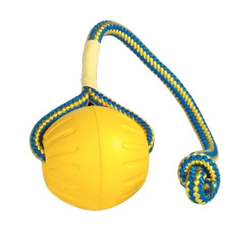 Starmark Everlasting Swing n Fling DuraFoam Fetch Ball con corda - 2,5 pollici per cani e gatti