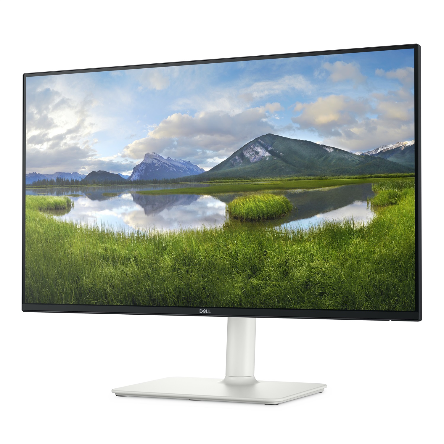 DELL S Series S2425HS Monitor 23.8