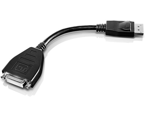 Lenovo 45J7915 Cavo e Adattatore Video 0,2 m DVI-D a DisplayPort Maschio Dritto Nero