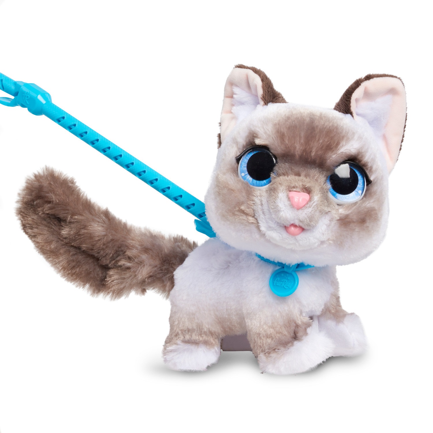 FurReal Wag-A-Lots Kitty - Peluche interattivo di gattino che cammina e emette suoni, 20 cm, morbido, con guinzaglio staccabile, per bambini dai 4 anni