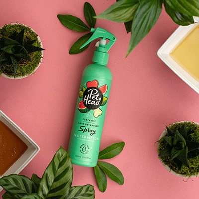 Pet Head Furtastic Spray toelettatura 300 ml per cani con pelo riccio e lungo - Profumo di anguria, formula naturale e vegana, delicata per cuccioli