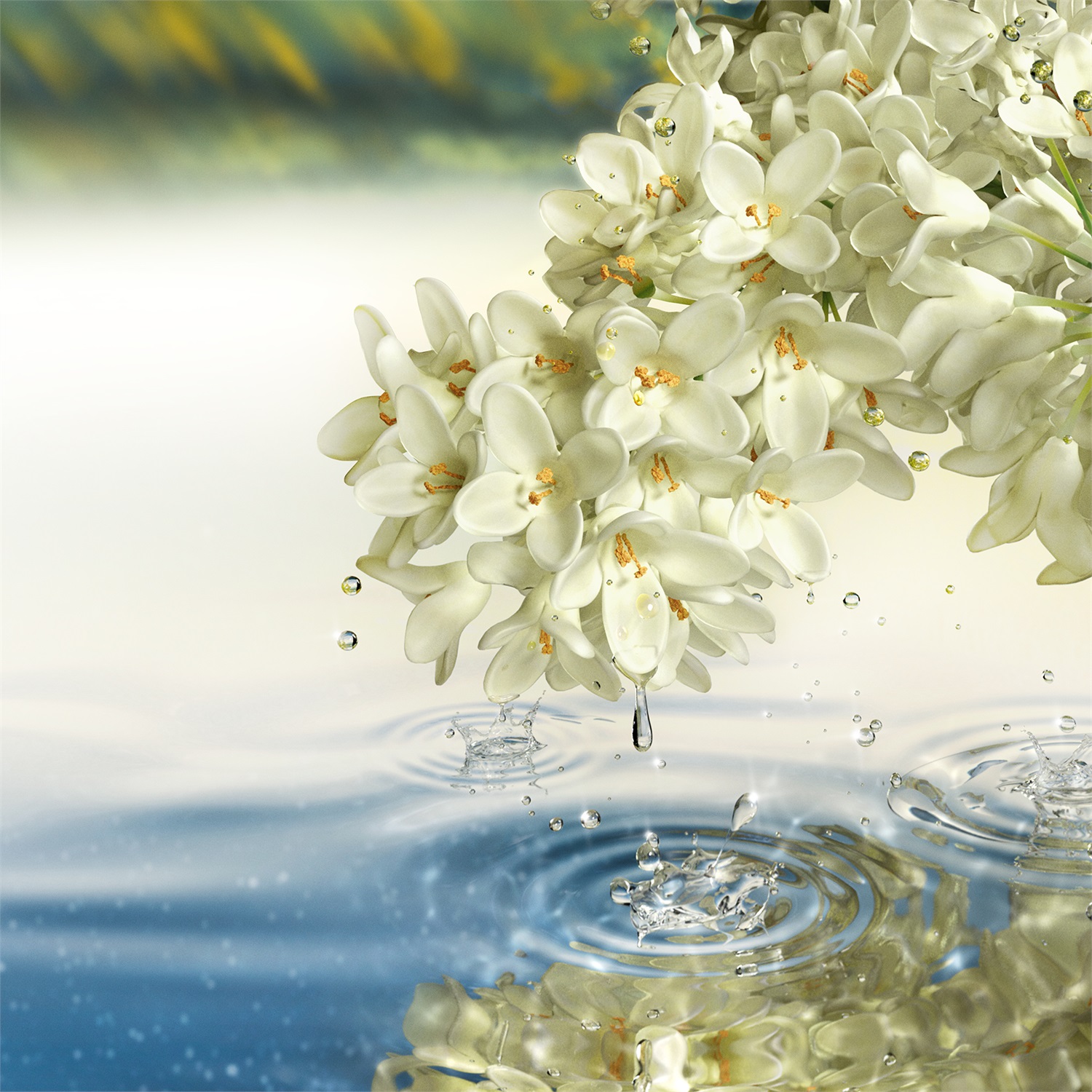 Estée Lauder Paradise Moon Eau De Parfum 100ml - Fragranza Donna in Spray con Fiori Rari