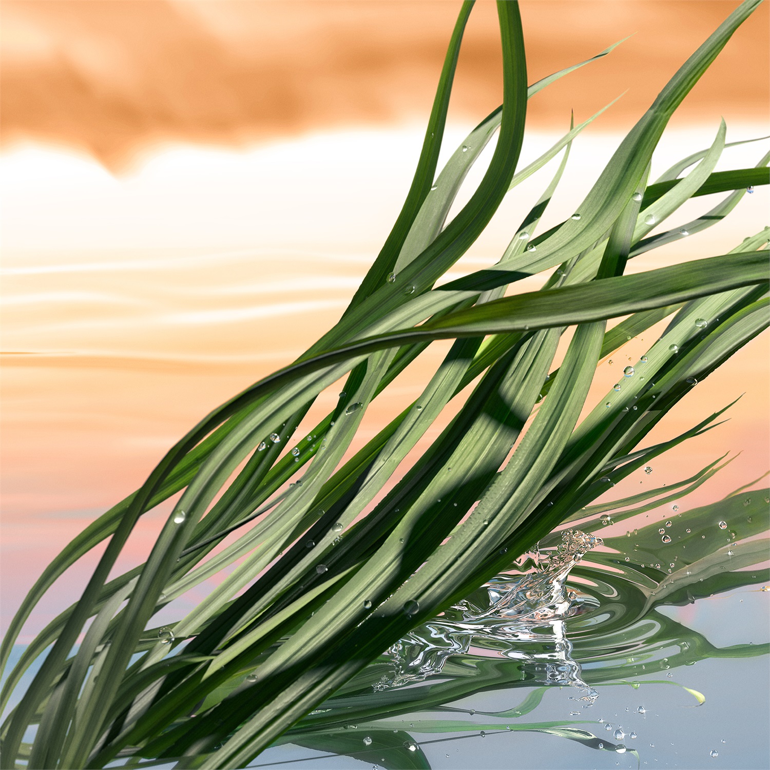 Estée Lauder Blushing Sands Eau de Parfum Unisex 100ml - Note di Vetiver di Haiti e Pepe Rosa