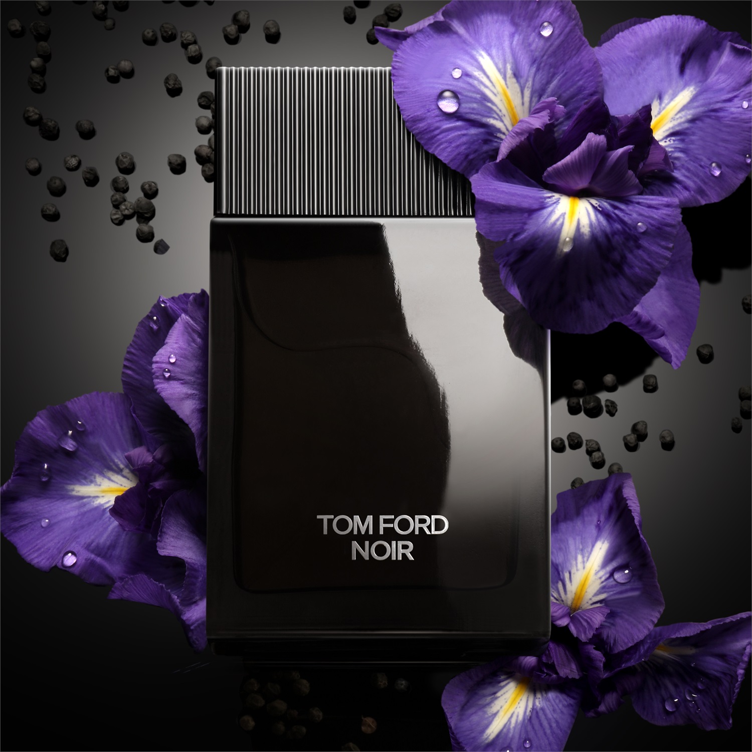 Tom Ford Noir Eau de Parfum 100ml - Fragranza Speziata e Orientale per Uomo con Note di Bergamotto, Pepe Nero, Ambra e Vaniglia