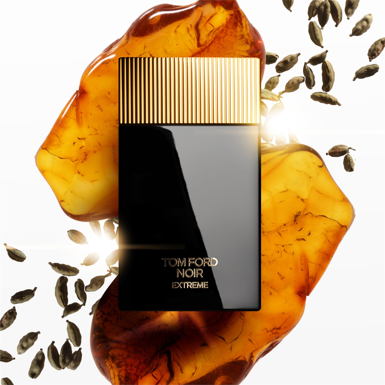 Tom Ford Noir Extreme Eau de Parfum 100ml - Fragranza Legnosa Ambrata per Uomo