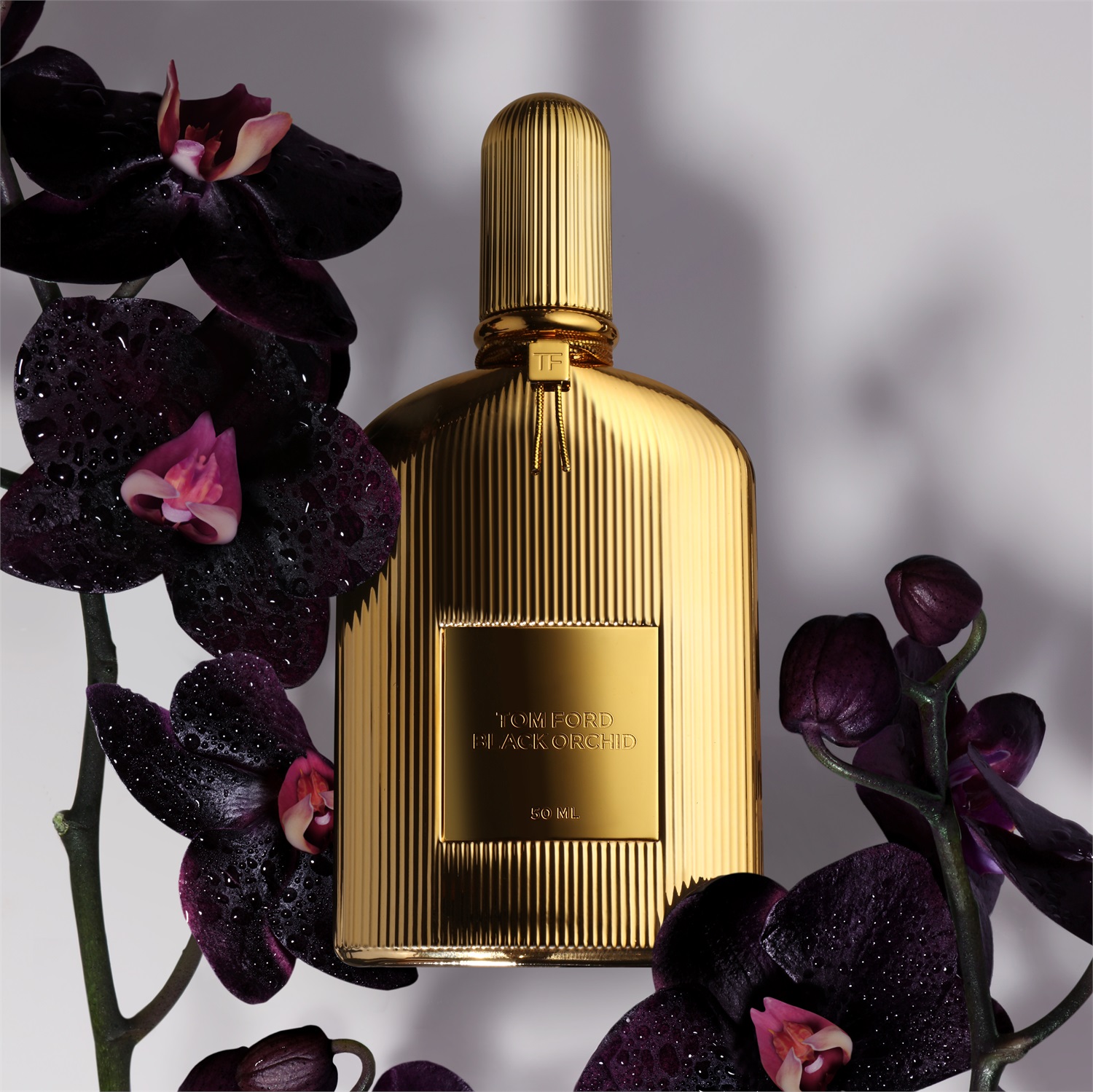 TOM FORD Black Orchid Parfum 50ml - Fragranza Unisex Orientale-Floreale con Note di Tartufo, Prugna e Ylang-Ylang
