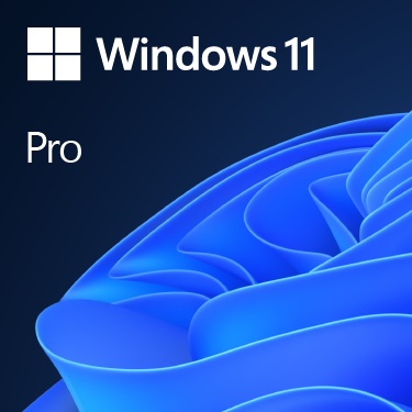 Microsoft Windows 11 Pro - Licenza Digitale ESD 64 bit OEM in Inglese - 1 Licenza Originale