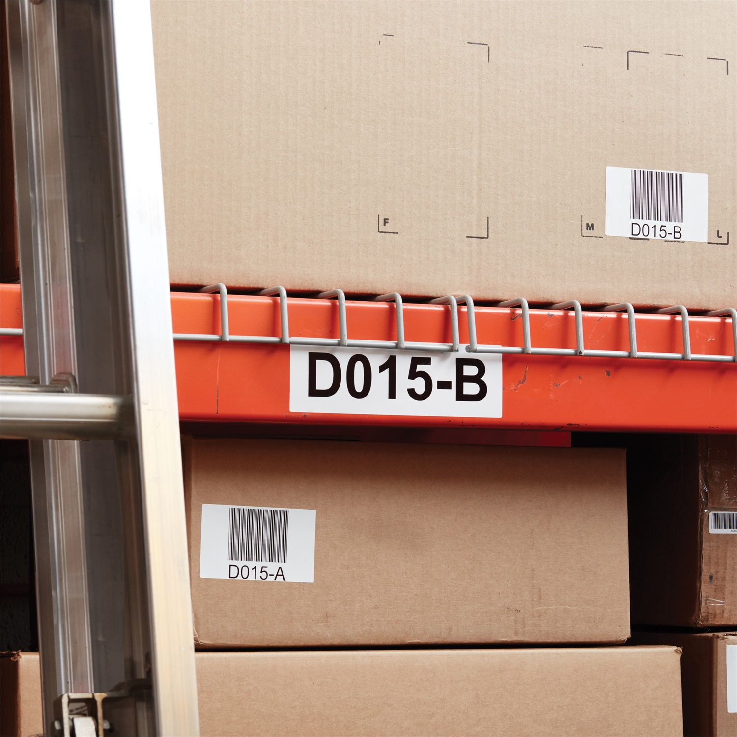 DYMO Etichette Durable Bianco 59x102 mm - Rotolo da 300 Etichette Autoadesive per Stampanti LabelWriter