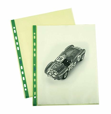 Favorit Buste Forate 22 x 30 cm in Polipropilene Trasparente Verde Pastello, 25 Pezzi, Alto Spessore, Finitura Liscia