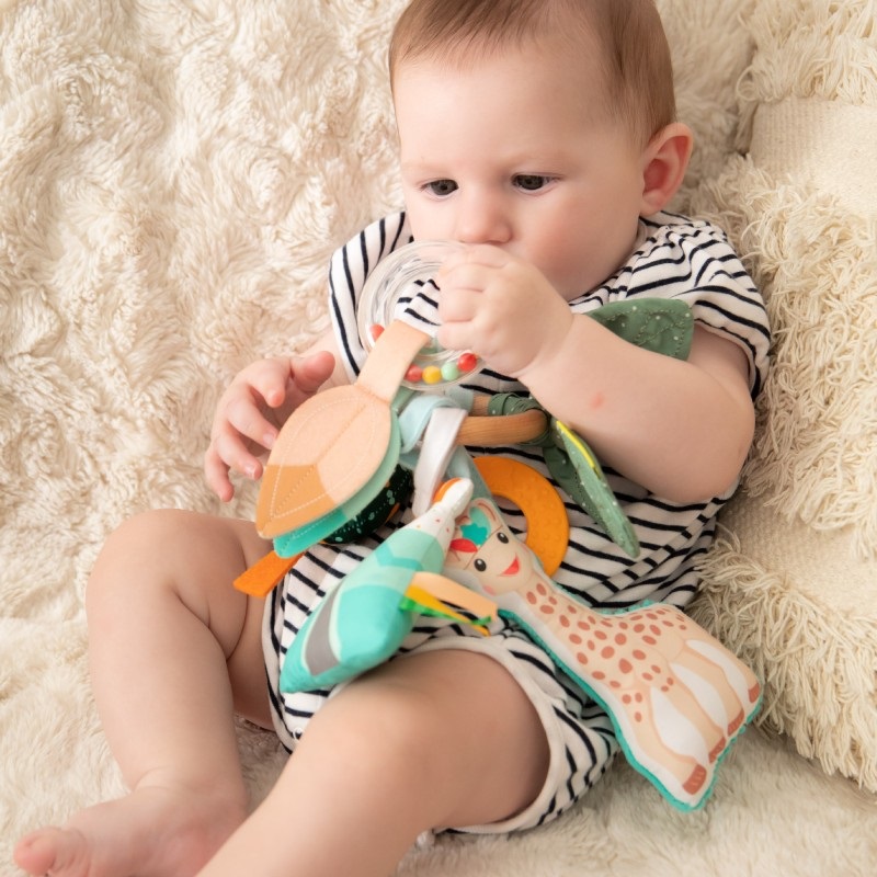 Sophie la Girafe - Anneau di Attività Multicolore 850803 per Sviluppo Sensoriale e Motorio