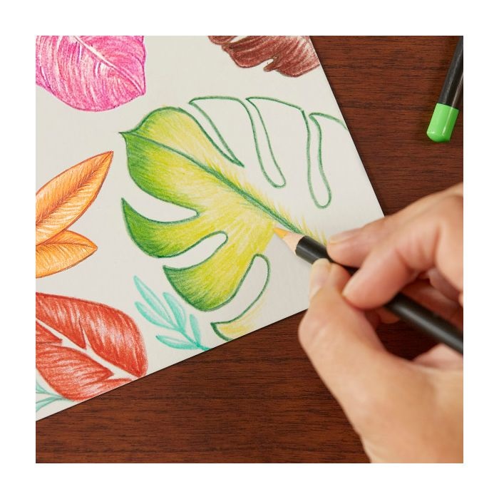 BIC Matite Colorate Intensity Wood Premium - 12 Pezzi, Fusto Tondo, Colori Assortiti, Mina 3,3 mm