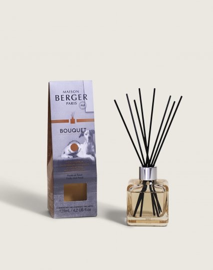 Maison Berger Paris Diffusore di Aromi Anti Odore Animali - Fragranza Fruttato e Fiorito, Vetro Laccato Champagner, 125 ml