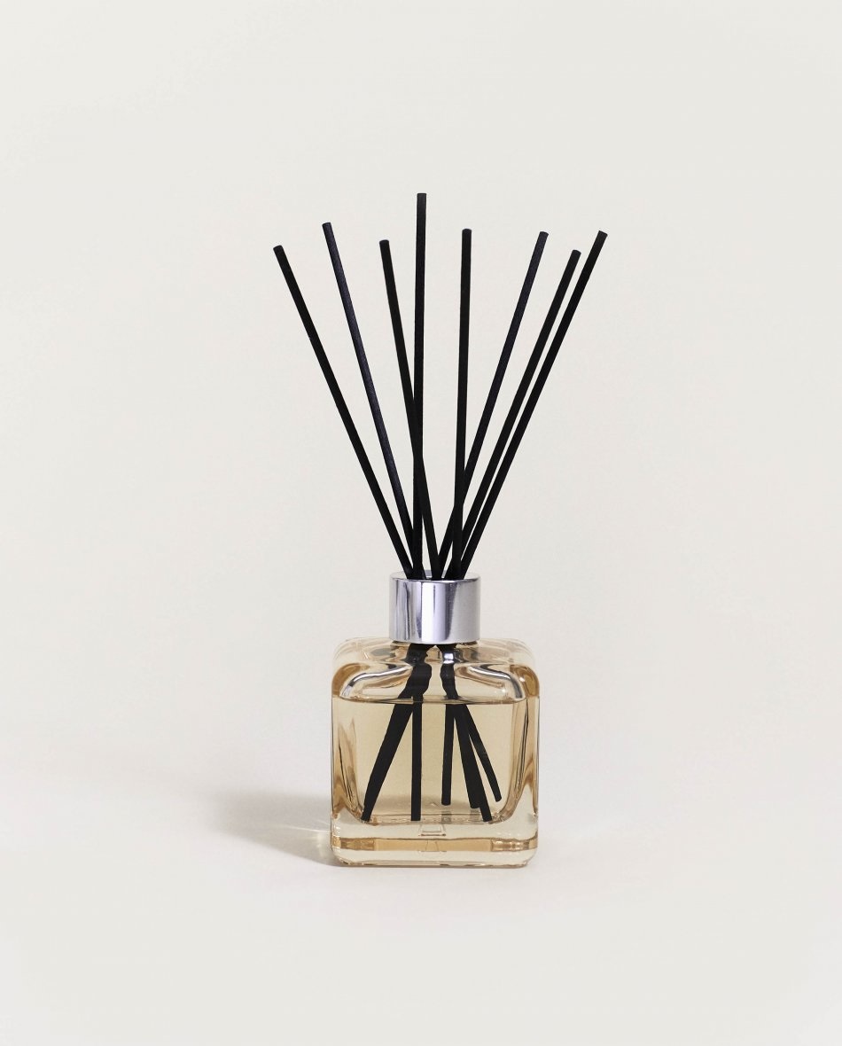 Maison Berger Paris Diffusore di Aromi Anti Odore Animali - Fragranza Fruttato e Fiorito, Vetro Laccato Champagner, 125 ml