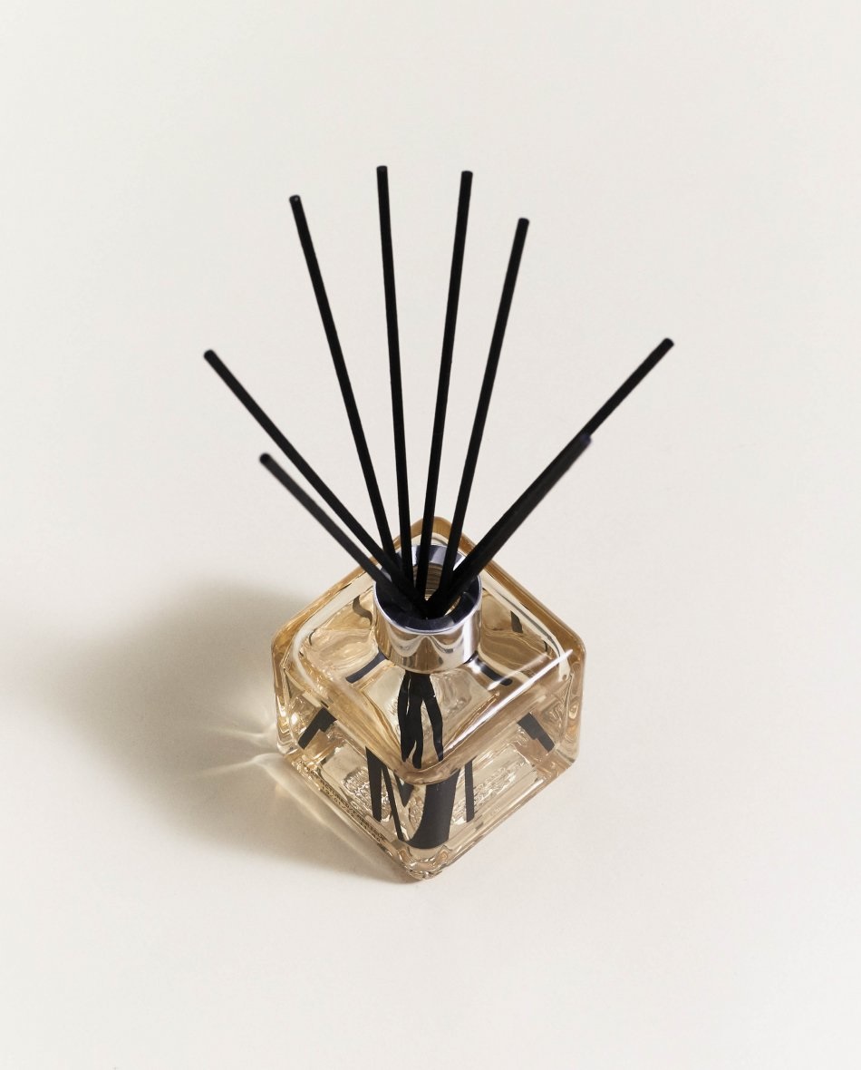 Maison Berger Paris Diffusore di Aromi Anti Odore Animali - Fragranza Fruttato e Fiorito, Vetro Laccato Champagner, 125 ml