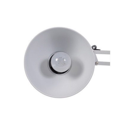 ALBA Lampada da Tavolo Architect Bianco - 11 W, Struttura in Metallo, Base e Morsetto, Testa Ø 16,5 cm