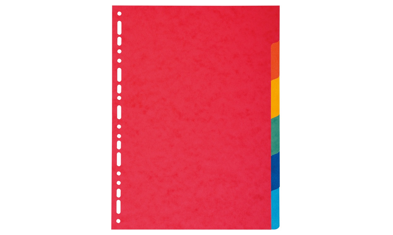 Exacompta 2006E Divisori A4 Multicolore in Cartoncino Riciclato 220 gr - 6 Tasti Assortiti