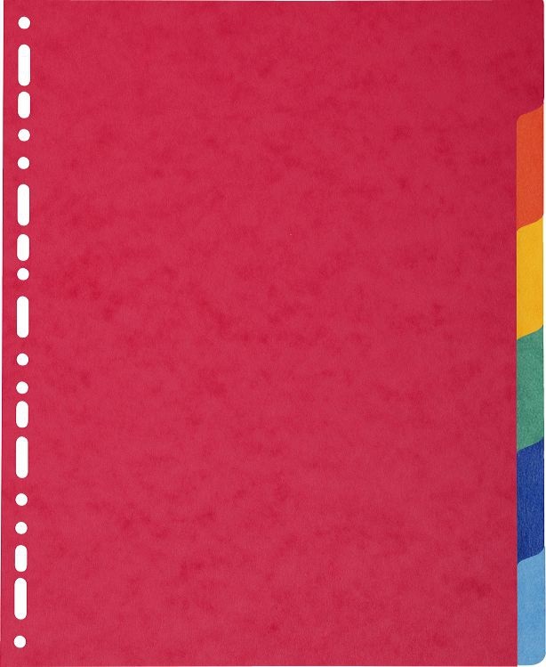 Exacompta 2406E Divisori A4 Maxi in Cartoncino Lustré 225 g/mq - 6 Posizioni Certificati PEFC