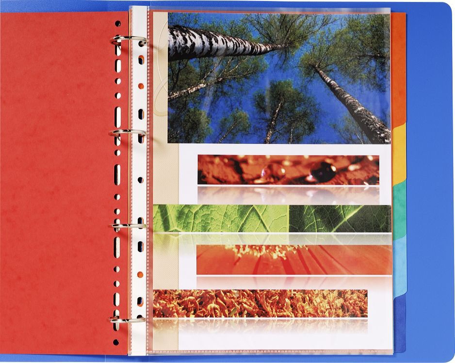 Exacompta 2406E Divisori A4 Maxi in Cartoncino Lustré 225 g/mq - 6 Posizioni Certificati PEFC