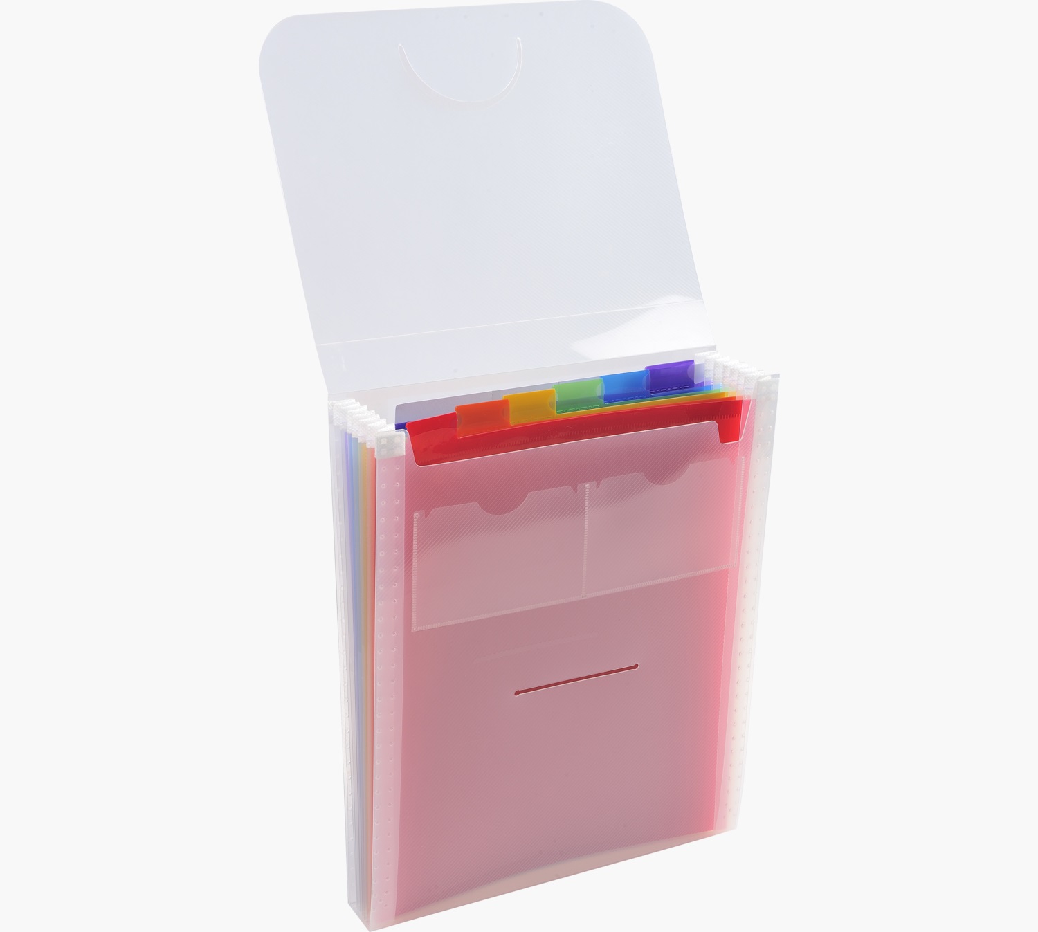 Exacompta Classificatore Valigetta Verticale Cristallo - 25,5 x 30,5 cm - 6 Tasche - Polipropilene (PP)