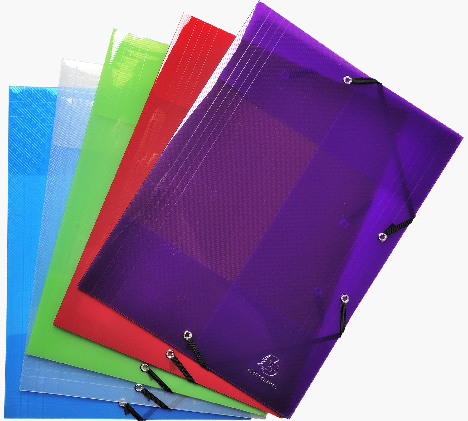 Exacompta 56701E - Cartelline con Elastico A4, 24 x 32 cm, Polipropilene Traslucido, Confezione da 5 Colori Assortiti