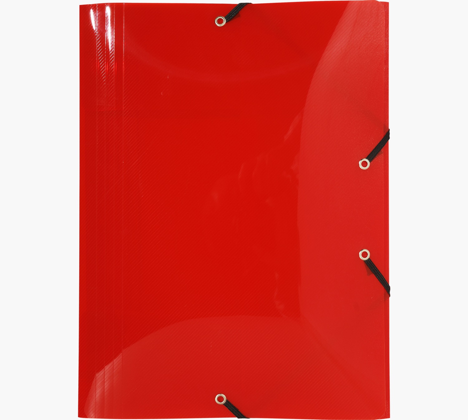 Exacompta 56701E - Cartelline con Elastico A4, 24 x 32 cm, Polipropilene Traslucido, Confezione da 5 Colori Assortiti