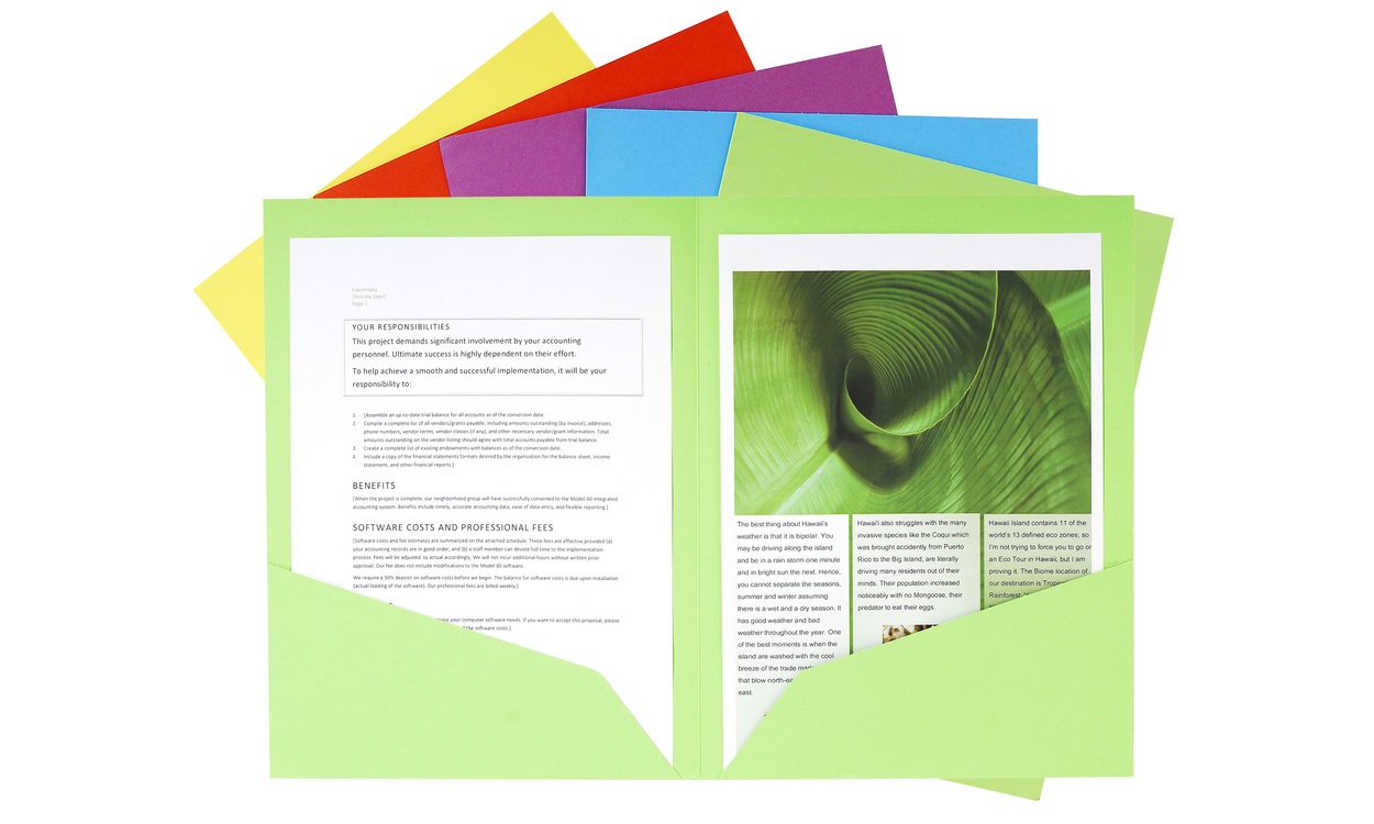 Exacompta 415000E Cartelletta a Doppia Tasca in Cartoncino 220 g/m² 24x32 cm Assortiti - Confezione da 25 Pezzi