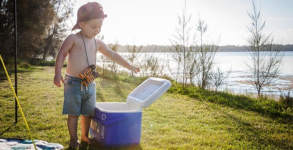 Coleman Performance Cooler 16QT - Frigo Portatile Passivo 15L, Raffredda Fino a 24 Ore, Capacità 22 Lattine x 0,33L