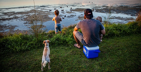 Coleman Performance Cooler 16QT - Frigo Portatile Passivo 15L, Raffredda Fino a 24 Ore, Capacità 22 Lattine x 0,33L