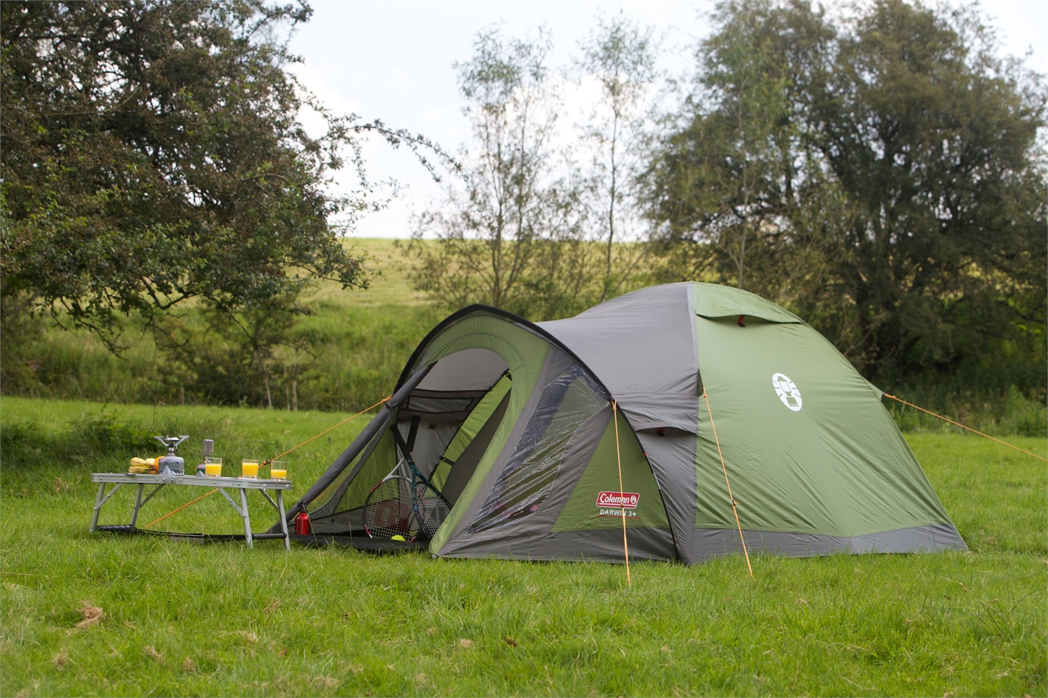 Coleman Tenda Darwin 4 Plus - Tenda da Campeggio Impermeabile per 4 Persone, Montaggio Rapido, Telo di Protezione Cucito, Grigio