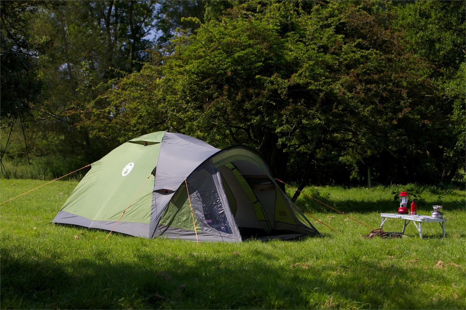 Coleman Tenda Darwin 4 Plus - Tenda da Campeggio Impermeabile per 4 Persone, Montaggio Rapido, Telo di Protezione Cucito, Grigio