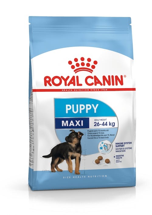 Royal Canin Maxi Puppy 1 kg - Alimento Completo per Cuccioli di Taglia Grande (26-44 kg) fino a 15 Mesi