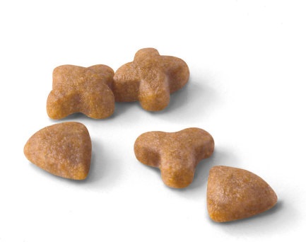 Royal Canin Regular Sensible 33 Cibo Secco per Gatti Adulti 12 kg - Favorisce Digestione Ottimale, Extra Gustoso, Offerta 10 kg 2 kg GRATIS