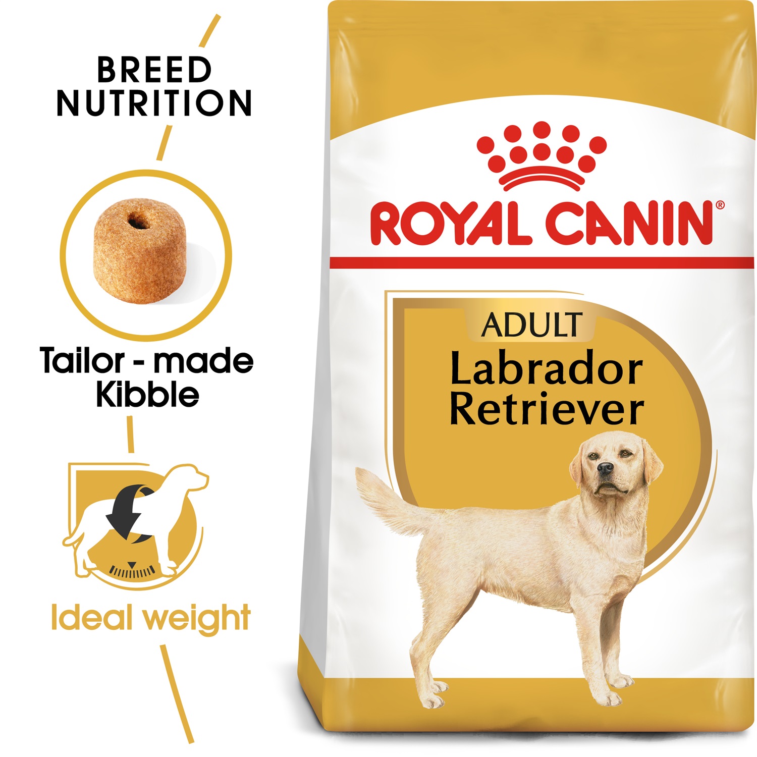 Royal Canin Labrador Retriever Adult 3 kg - Alimento Secco Completo per Cani Adulti oltre 15 Mesi, Mantenimento del Peso Ideale e Salute del Mantello