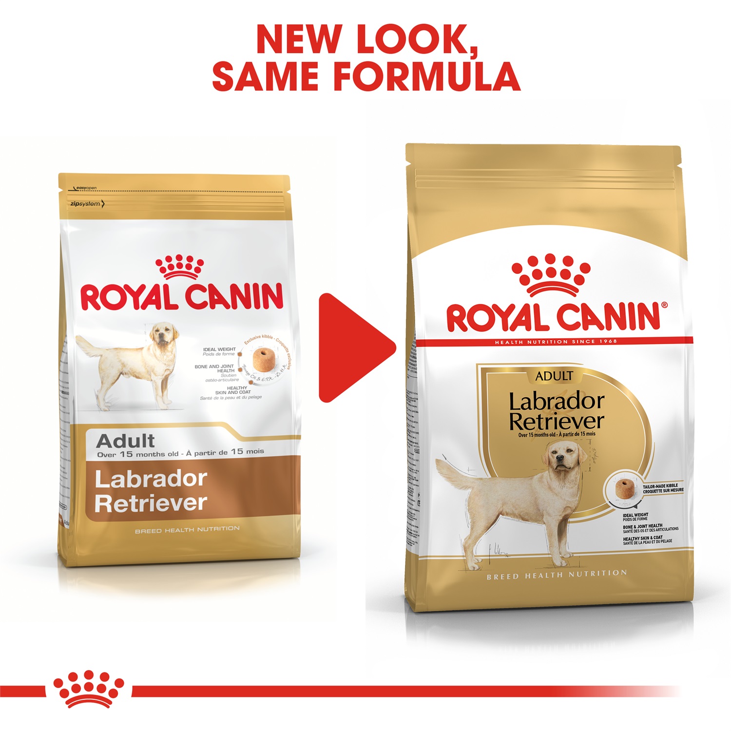 Royal Canin Labrador Retriever Adult 3 kg - Alimento Secco Completo per Cani Adulti oltre 15 Mesi, Mantenimento del Peso Ideale e Salute del Mantello