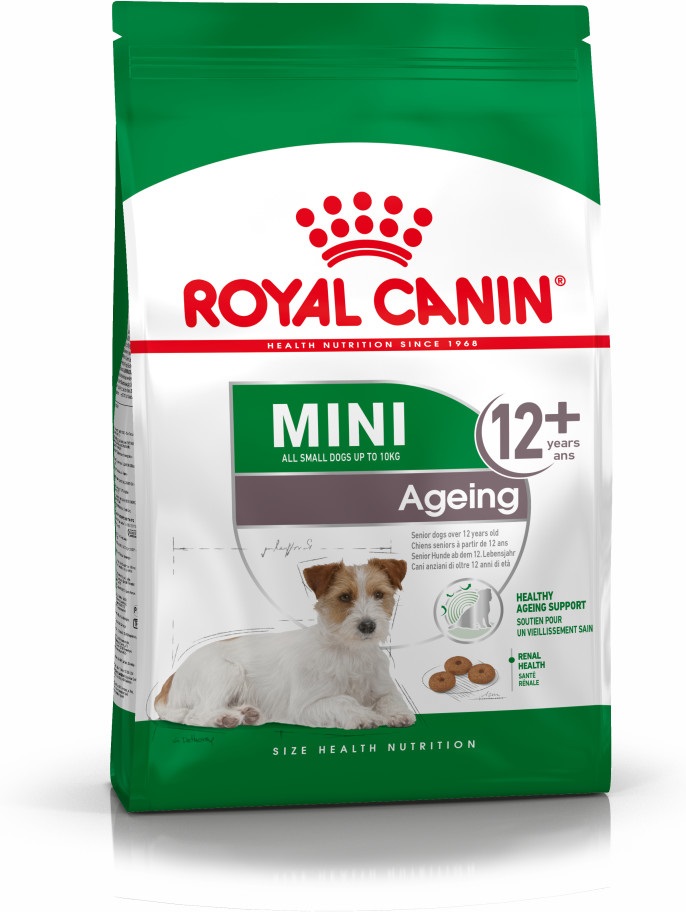 Royal Canin Mini Ageing 12 - Alimento Secco Completo per Cani Anziani di Piccola Taglia (Fino a 10 kg) - Formato 800 g