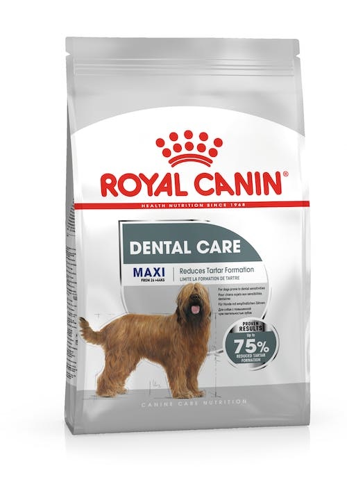 Royal Canin Maxi Dental Care 9 kg - Alimento secco per cani di grande taglia, riduce il tartaro, gusto delizioso
