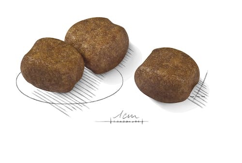 Royal Canin Maxi Dental Care 9 kg - Alimento secco per cani di grande taglia, riduce il tartaro, gusto delizioso