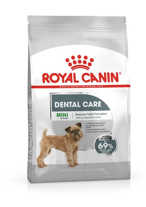 Royal Canin Mini Dental Care 3 kg - Alimento completo per cani adulti di piccola taglia con sensibilità dentale