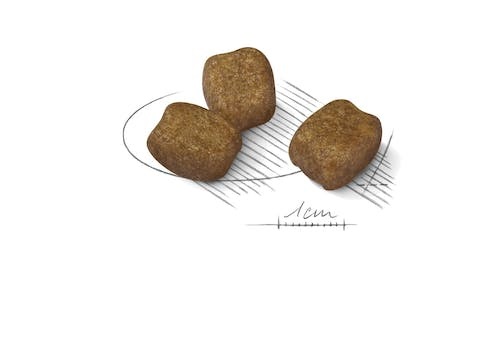 Royal Canin Mini Dental Care 3 kg - Alimento completo per cani adulti di piccola taglia con sensibilità dentale