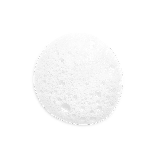 L'Occitane Aromachologie Shampoo Solido Riparatore Intenso 60g per Capelli Fragili e Danneggiati