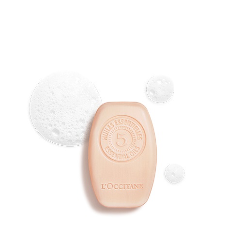 L'Occitane Aromachologie Shampoo Solido Riparatore Intenso 60g per Capelli Fragili e Danneggiati