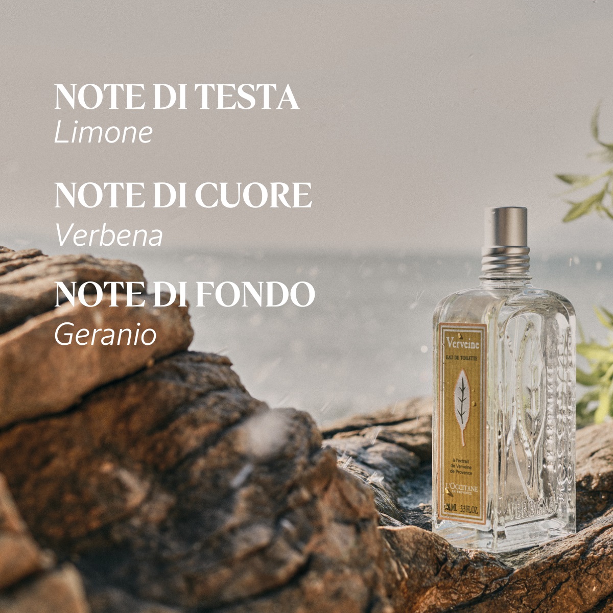 L'Occitane Eau de Toilette Verbena 100ml - Fragranza da donna con note di Verbena, Rosa, Geranio e Limone