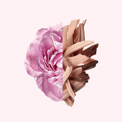 Givenchy Irresistible Eau de Toilette 50 ml - Fragranza Floreale Fruttata per Donna con Rosa Luminosa e Legni Muschiati