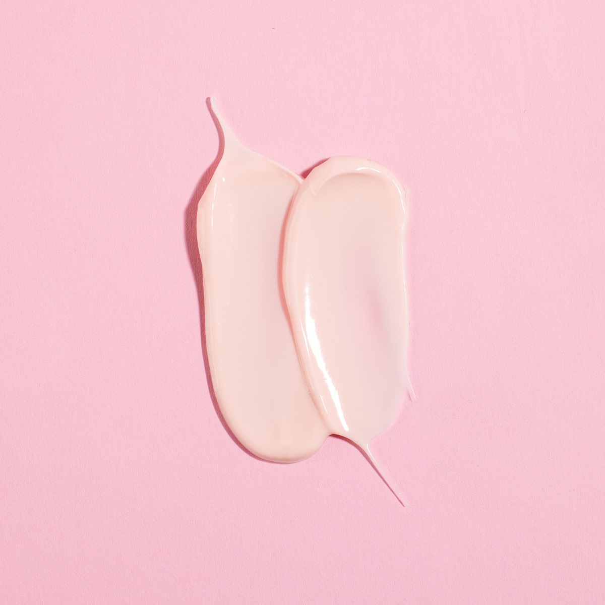 Melvita Crema Idratante Rimpolpante Source de Roses 50ml - Idratazione Lunga 48 Ore, Rimpolpante, Rinfrescante, con Petali di Rosa Selvaggia