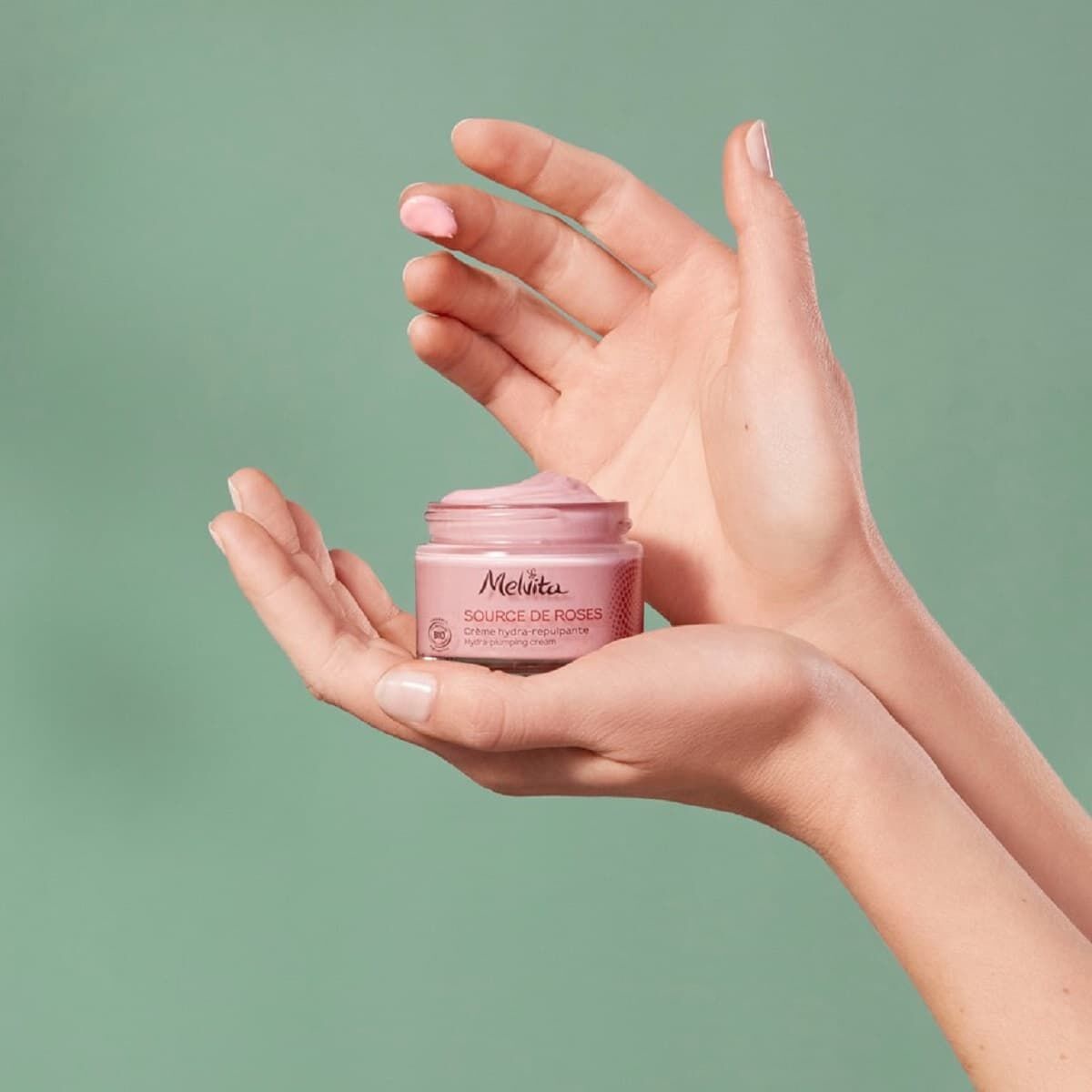 Melvita Crema Idratante Rimpolpante Source de Roses 50ml - Idratazione Lunga 48 Ore, Rimpolpante, Rinfrescante, con Petali di Rosa Selvaggia